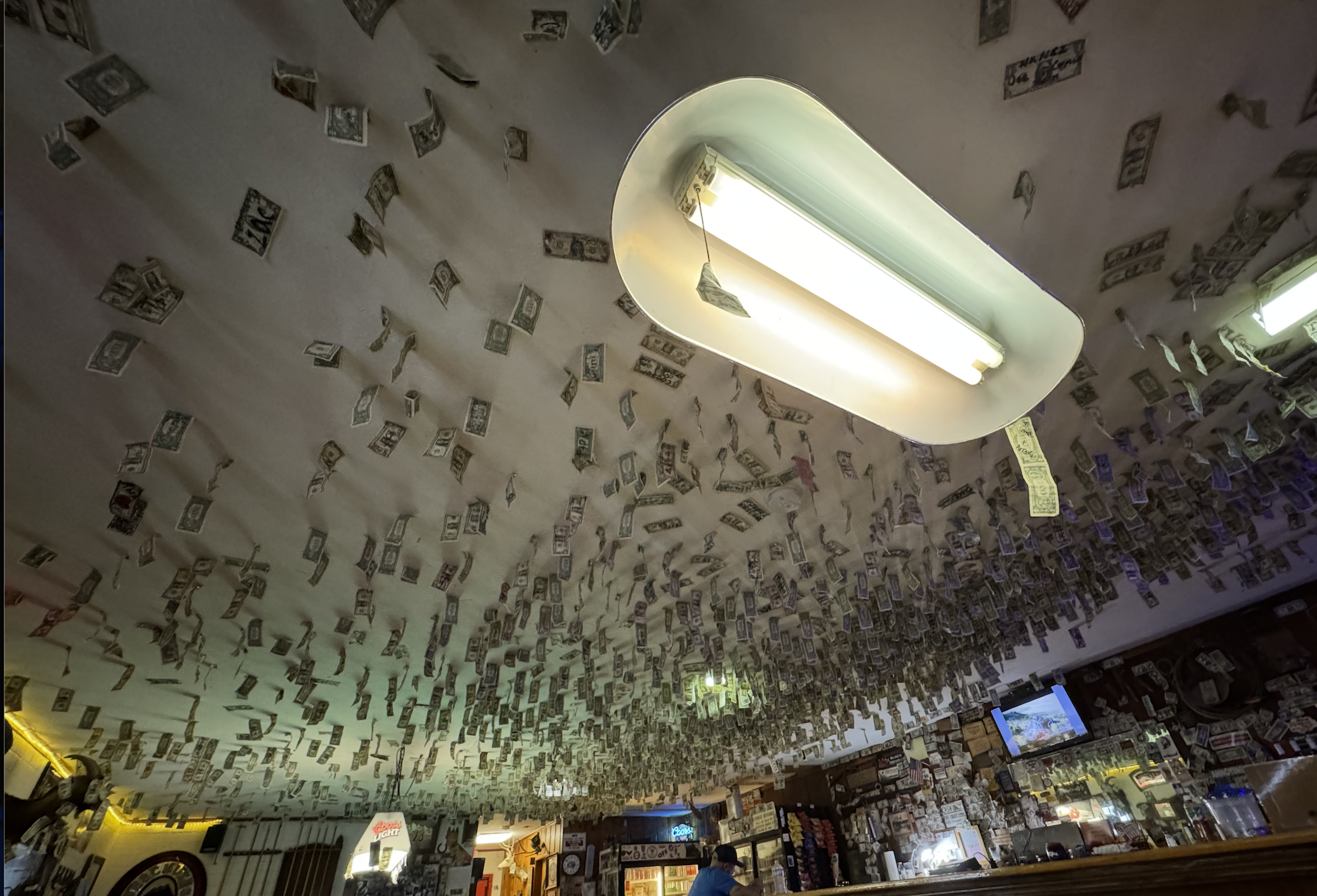 Impressive collection of dollar bills covering the ceiling at Panoche Inn